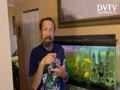Tips for fish tank water! I love my fish.