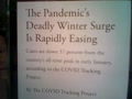 the Pandemic