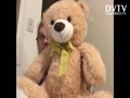 1 Teddy bear only day 7