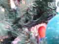 Grinch's Stolen Christmas Tree