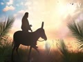Jesus rode A donkey