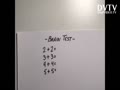 Brain Test