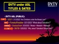 Four DVTV VLOGS