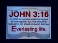 ***** John 3:16 *****