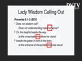 PROVERBS 8 WISDOM IS FEMININE