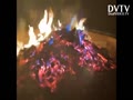 Bonfire beautiful!!
