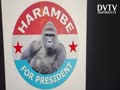 Vote Harambe for president 2024!