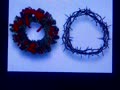 *** Christmas or Thorns! ***