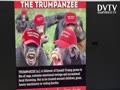 The Trumpanzee