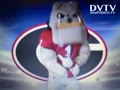 SEC Champion: Georgia vs Alabama