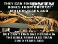 Dinosaur found bones from millions years ago