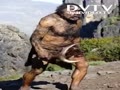 neanderthal