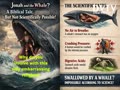 Jonah and the whale