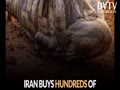 Iran outsmarted Israel and US!